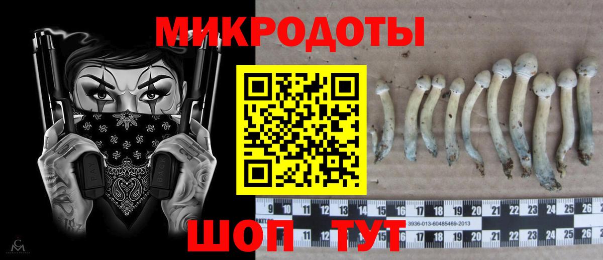 Галлюциногенные грибы мухоморы Корсаков